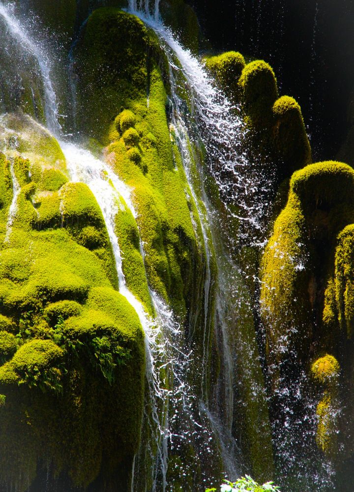 Photograph by Марина Горшкова