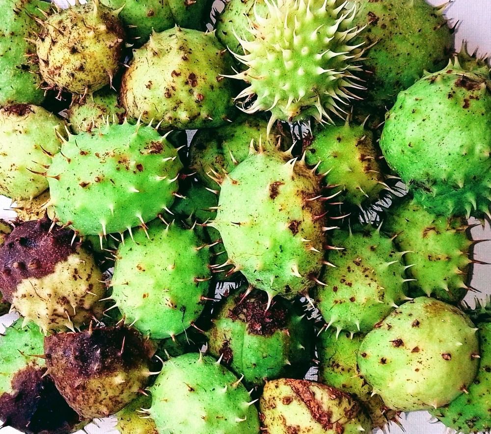 Photograph by Olga Vatkova