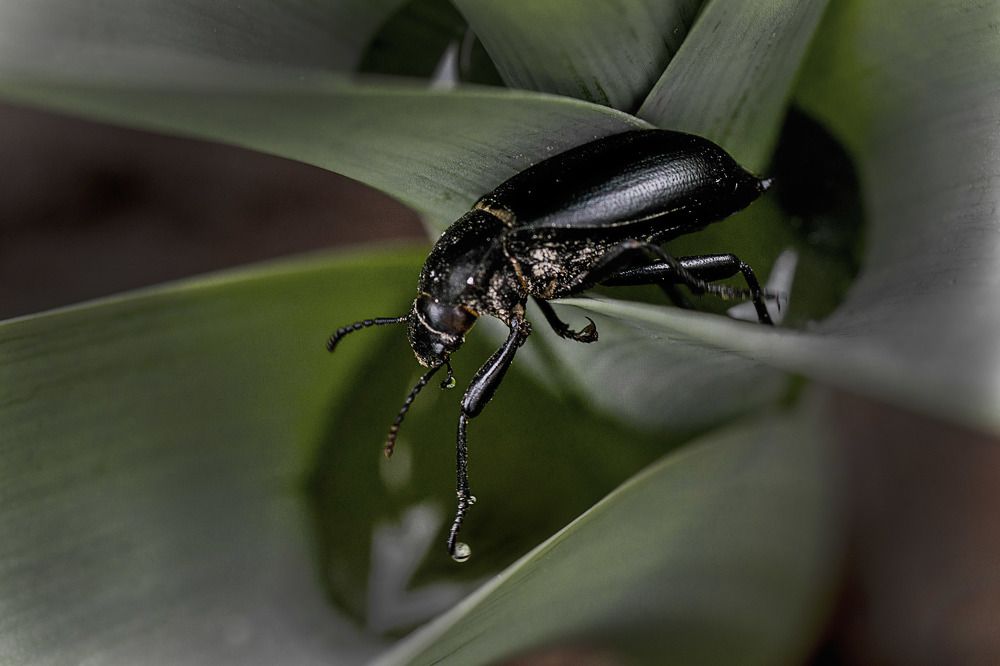 Photograph by Александр Стрельченко