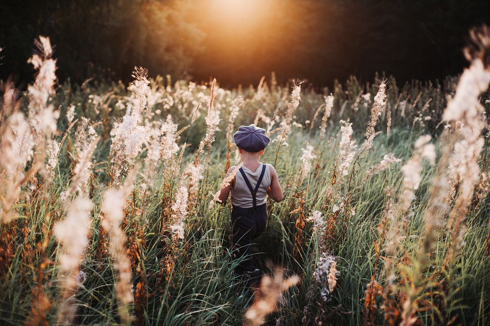 Фотография автора Анна Беляева