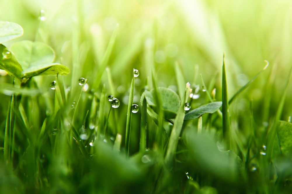 Фотография автора Юлия Кранина