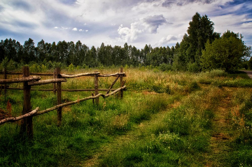 Фотография автора Юлия Кранина