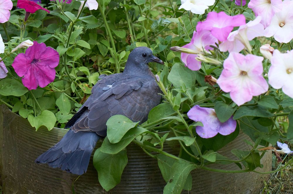 Photograph by Igor Kochkin