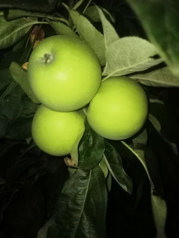 Photograph by Елизавета Мишина