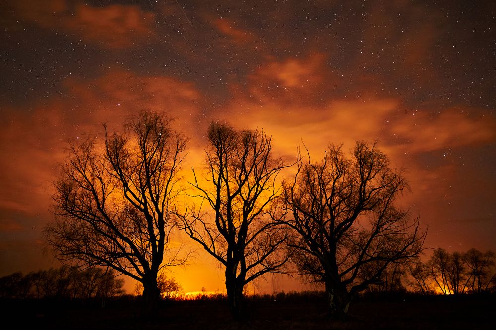 Photograph by Игорь Игоревич