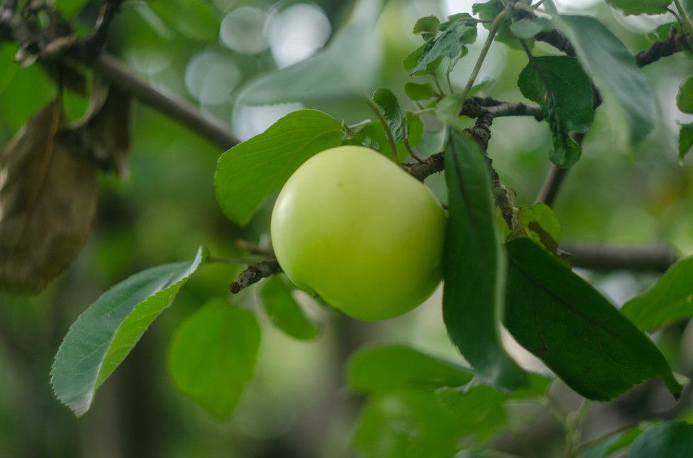 Photograph by Вадим Басов