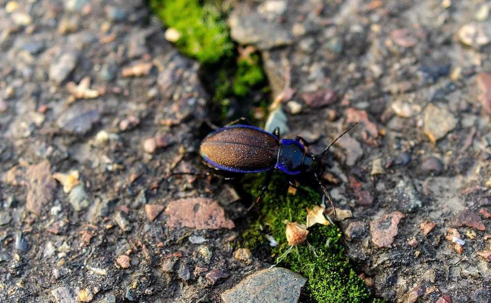 Photograph by Вадим Басов