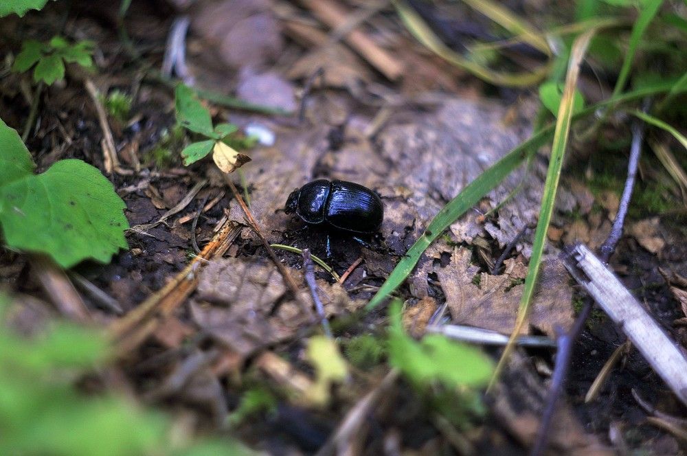 Photograph by Вадим Басов