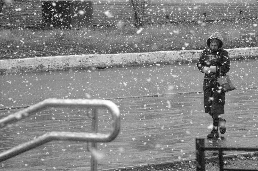 Фотография автора Юрий Боца