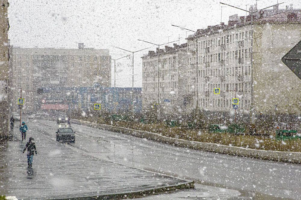 Фотография автора Юрий Боца