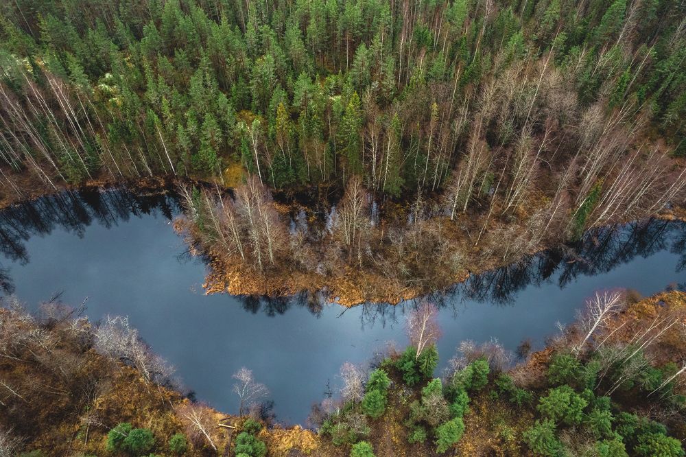 Photograph by Diana Karp