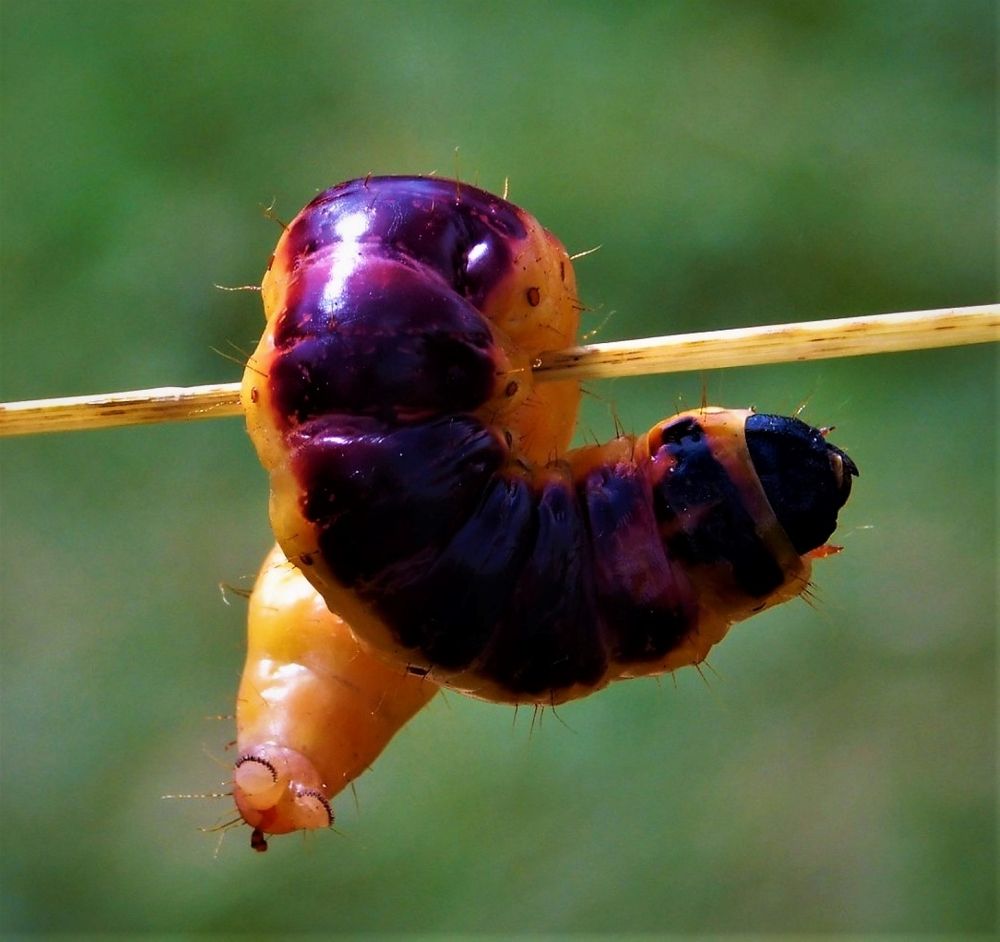 Photograph by Виктория Спицына