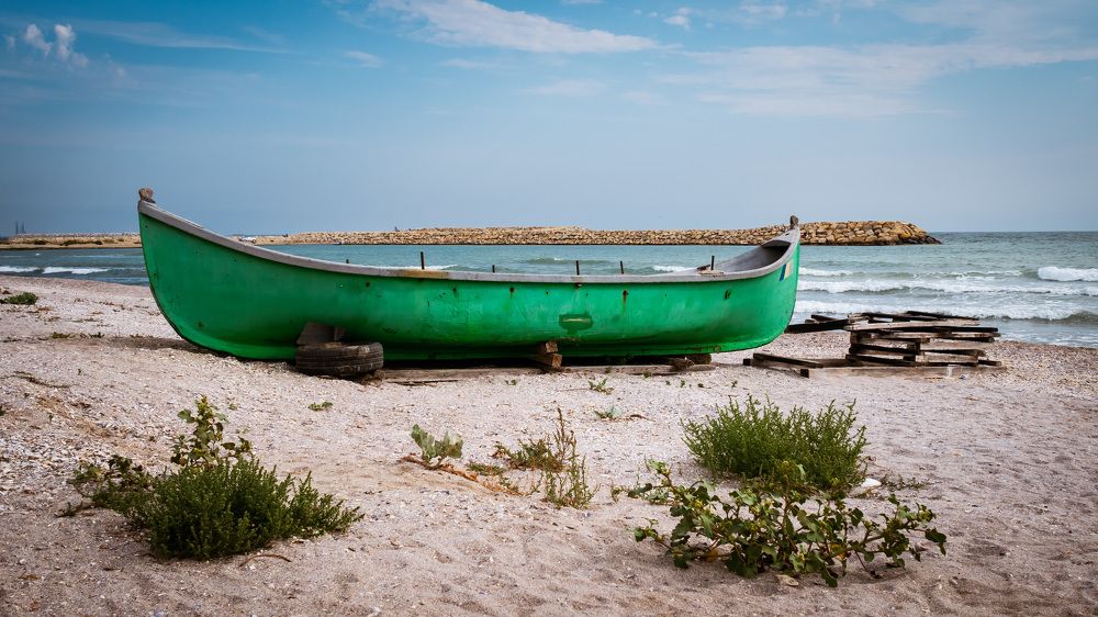 Photograph by Silviu Avramescu