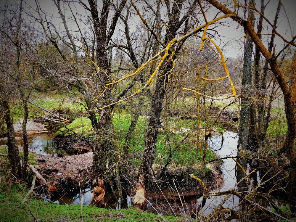 Photograph by Виктория Спицына