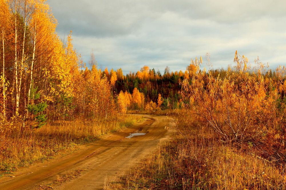 Photograph by Александр Трифанов