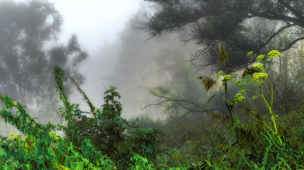 Photograph by Сергей Епишев