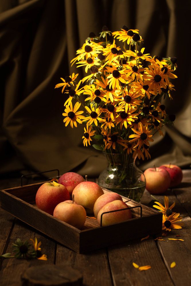 Photograph by Елена Плотникова