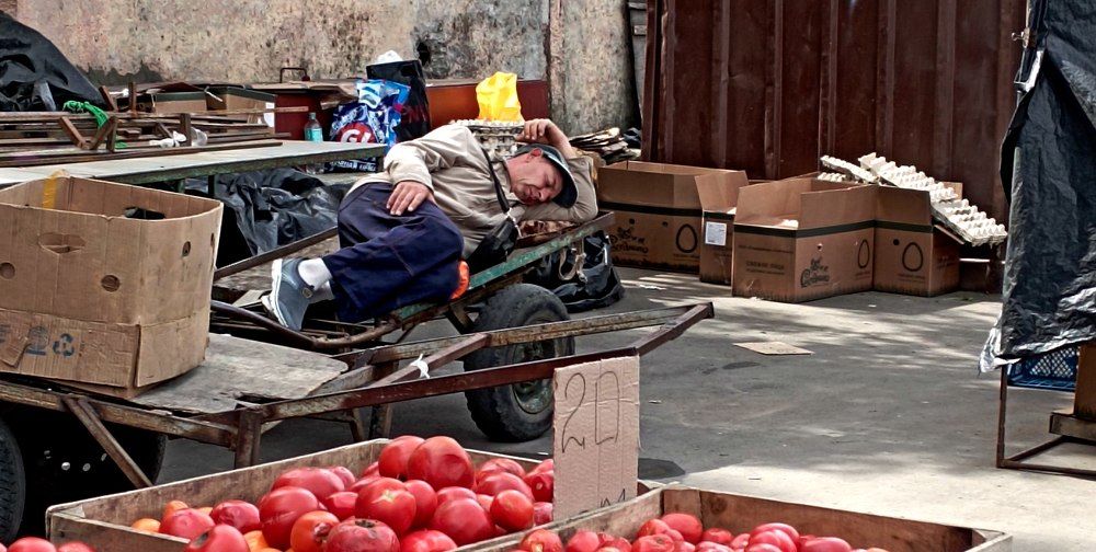 Photograph by леонид натапов