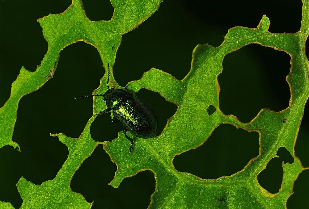Photograph by Елена Харитонова