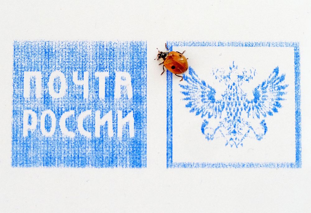 Photograph by Елена Харитонова