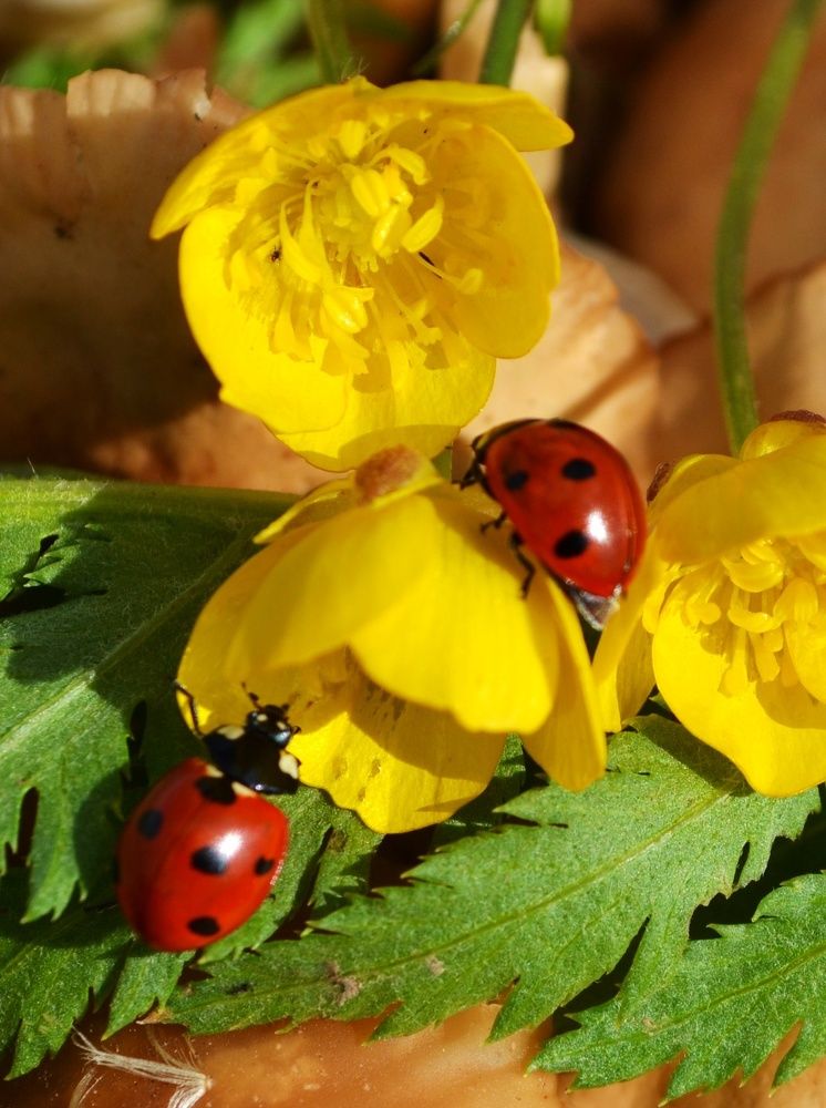 Photograph by Ольга Хромова