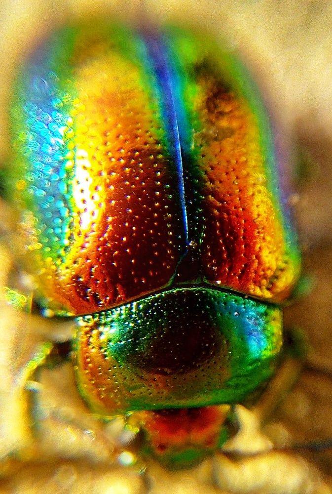 Photograph by Ольга Хромова