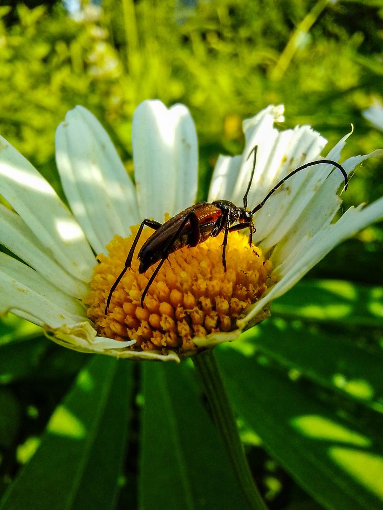 Photograph by Рина Хуртова