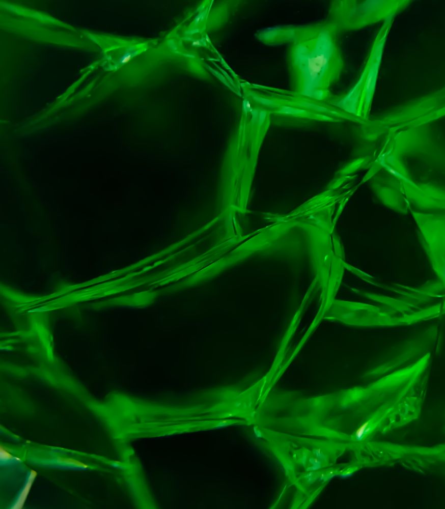 Photograph by Раиса Ламли