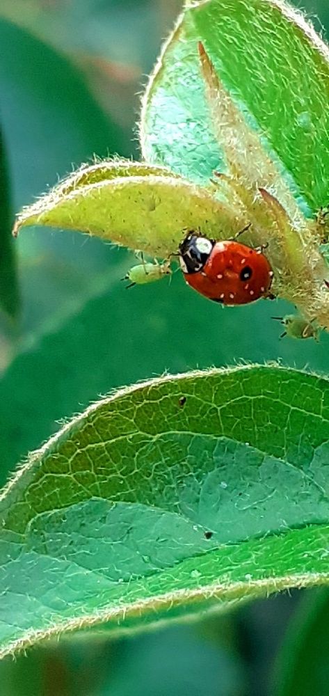 Photograph by Евгения Ульянова