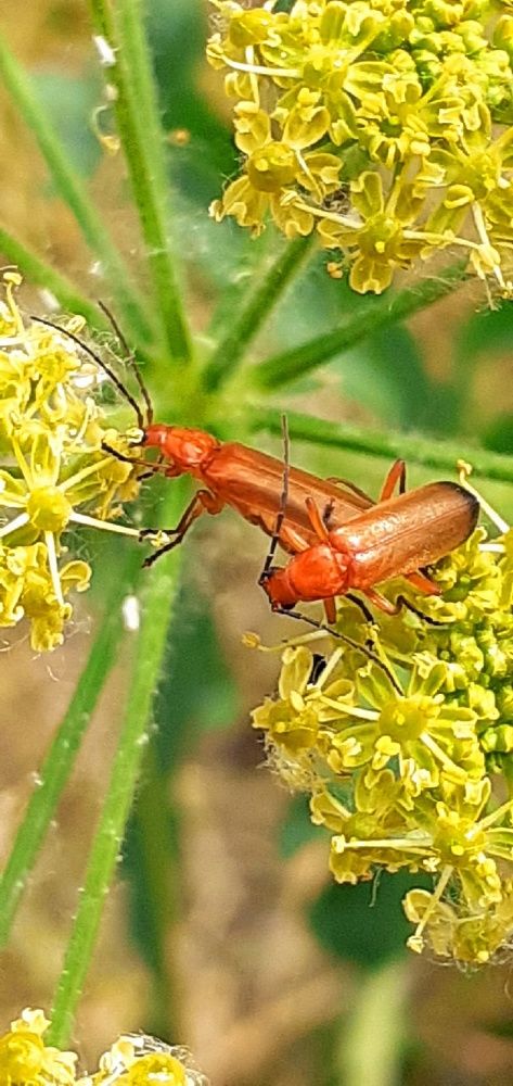 Photograph by Евгения Ульянова