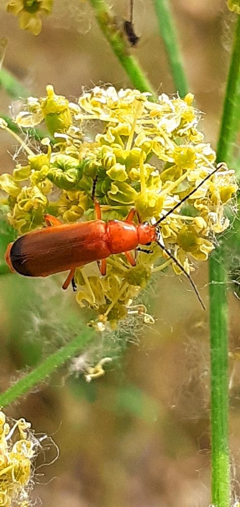 Photograph by Евгения Ульянова