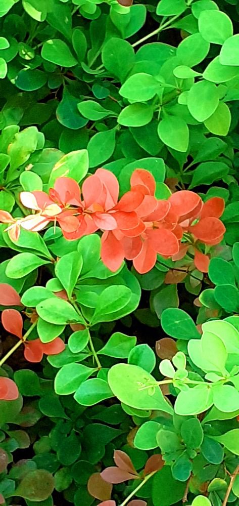 Photograph by Евгения Ульянова