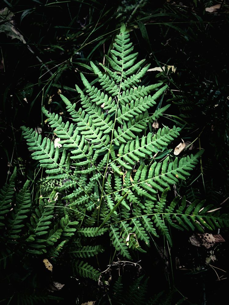 Photograph by Александр Маргачев