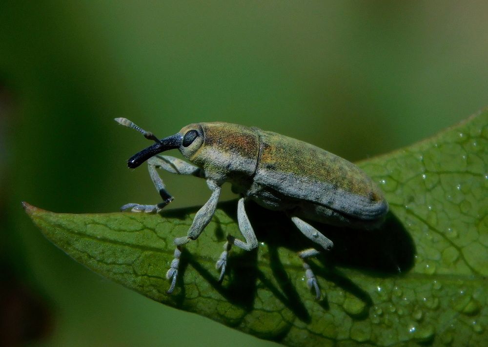 Photograph by Сергей Чеченов