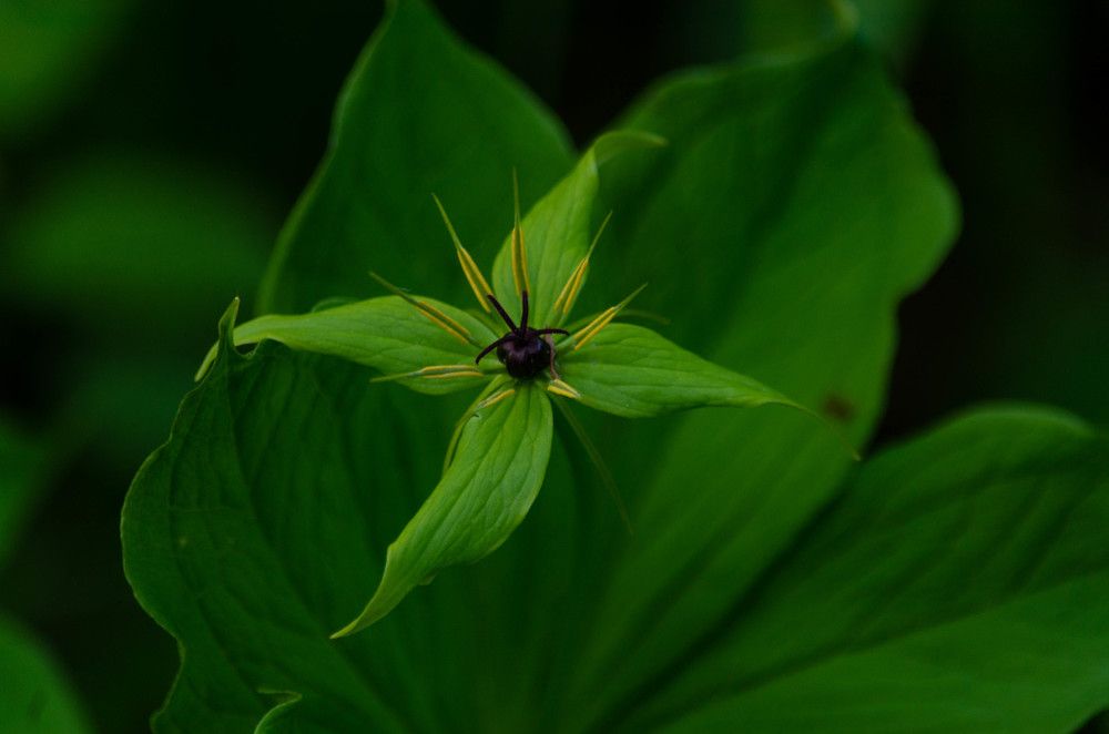 Photograph by Вадим Басов