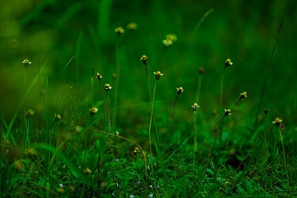 Фотография автора ambar moto