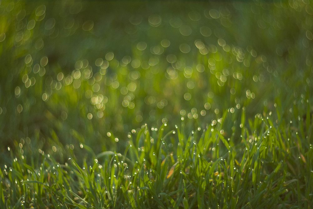 Photograph by Римма Волченко