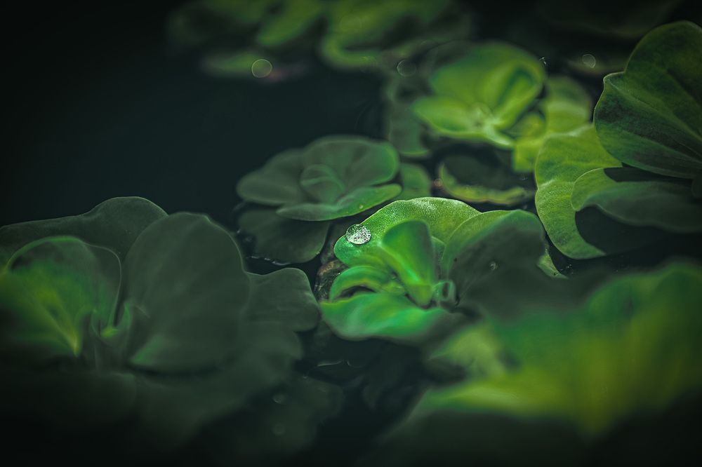 Фотография автора ambar moto