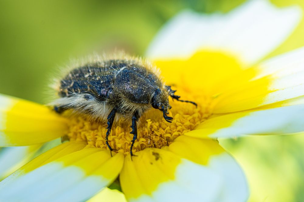 Photograph by Francisco José López Fernández