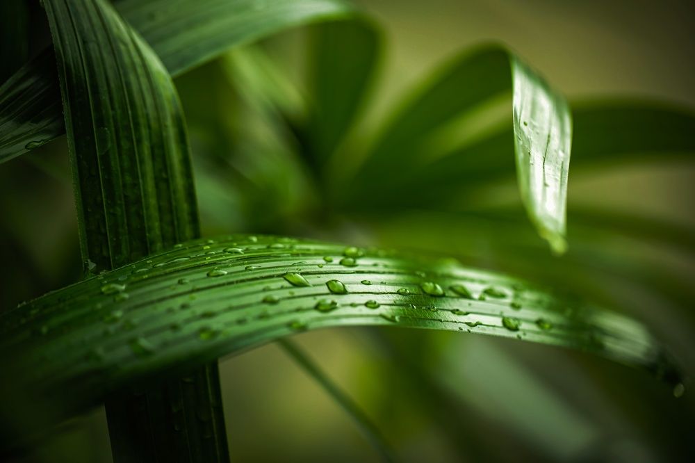 Фотография автора ambar moto