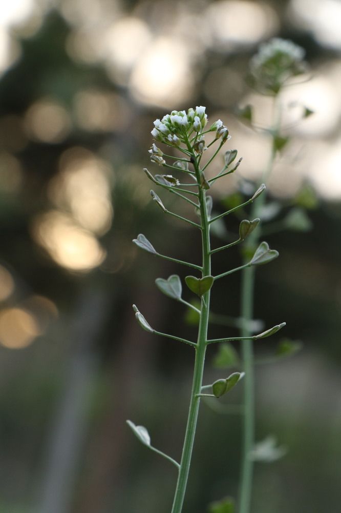 Photograph by Hoda Esmaili