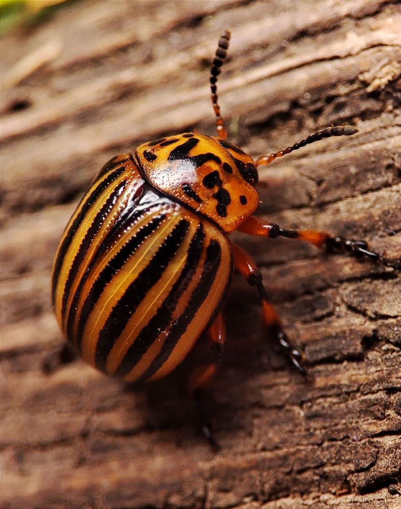 Photograph by Юлия Гинтер