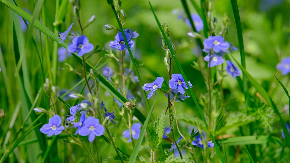 Photograph by Александр Елизаров