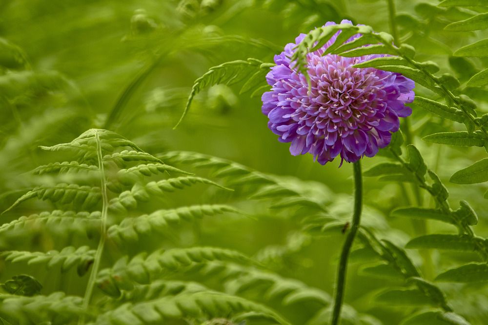 Photograph by Татьяна Полянская