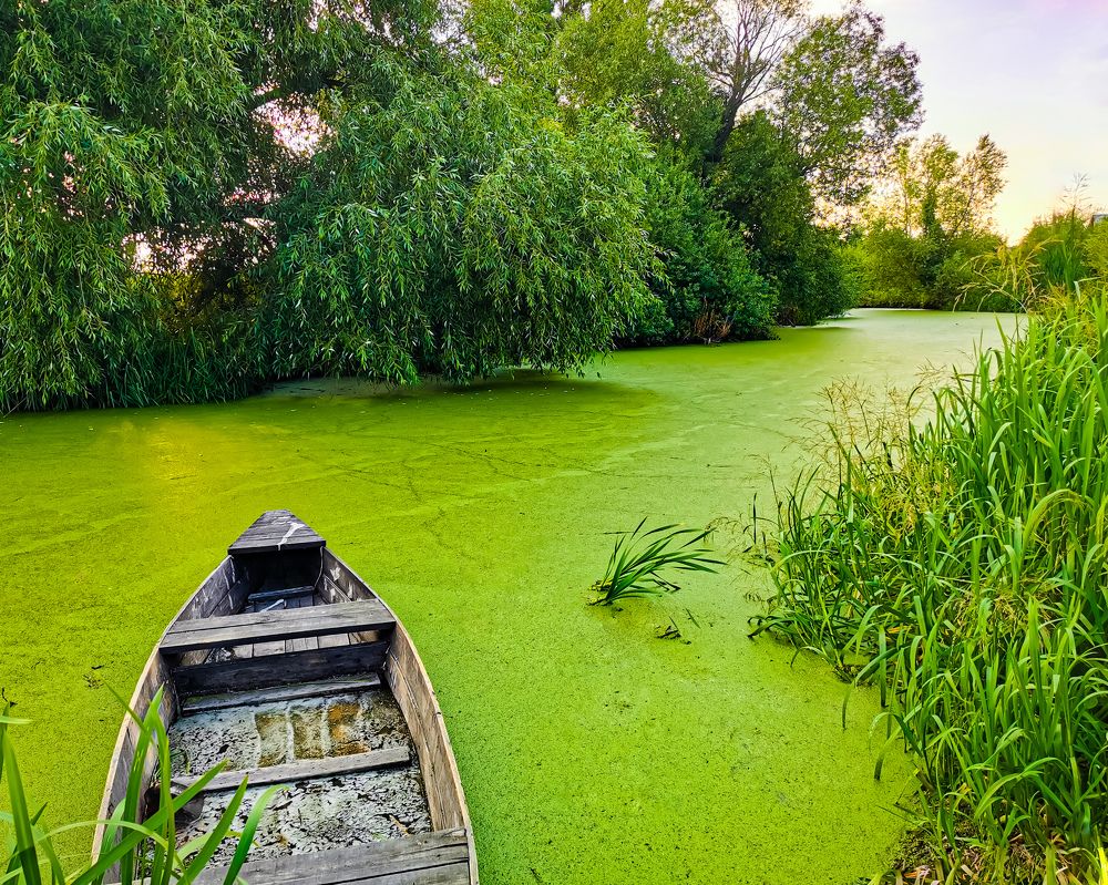 Фотография автора Дмитрий