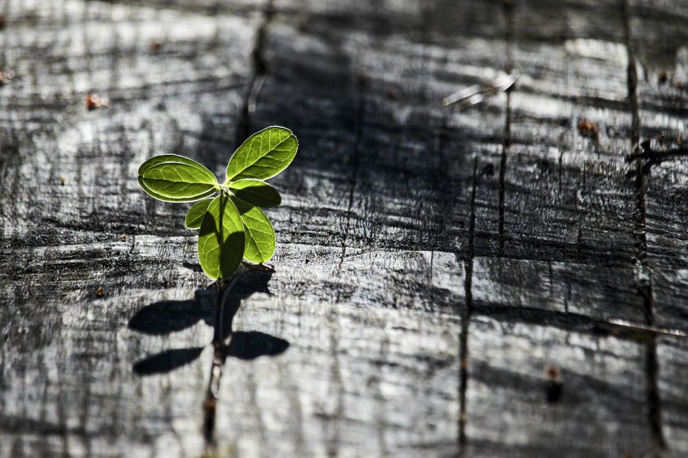 Photograph by Татьяна Полянская