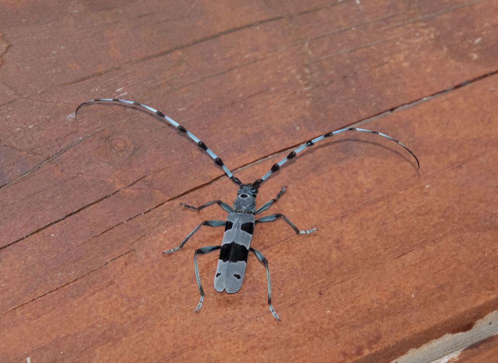 Photograph by Валентина Лопаткина