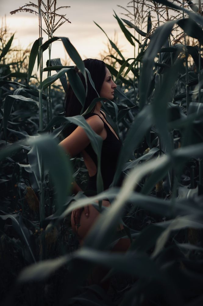 Фотография автора Елена Рогова