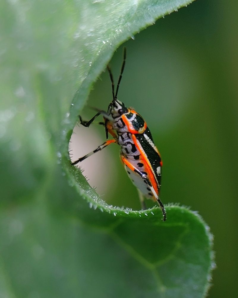 Photograph by Ксения Лукина