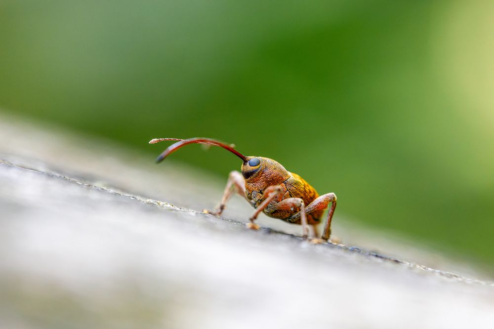 Photograph by Tomas Hora